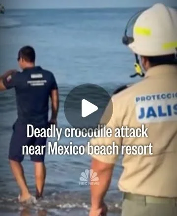 A California couple who tried to save the victim describes the terrifying attack to NBC News …