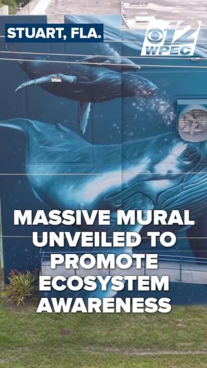 A massive 36,000 square foot mural now towers along Florida's Turnpike in