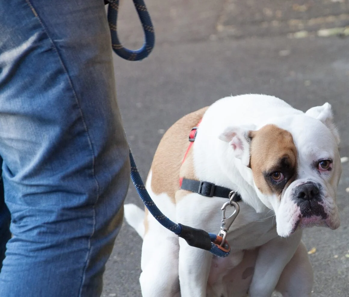 Have your say on problem drinkers… and dog mess
