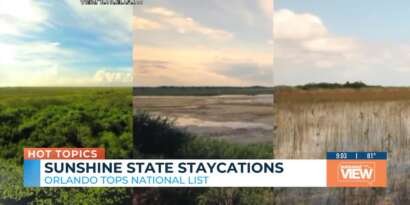 Florida Staycations