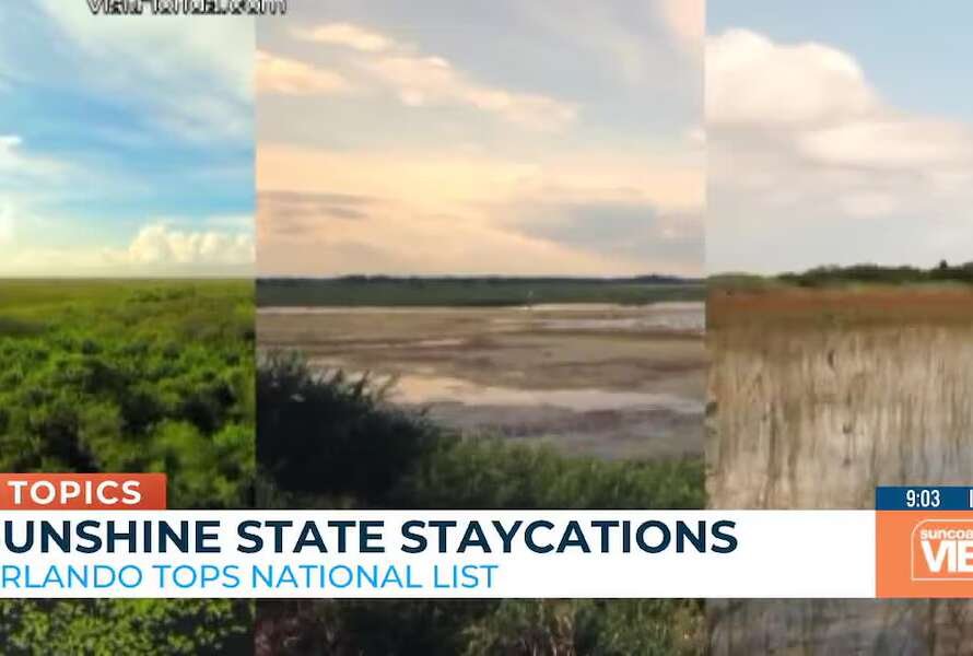 Florida Staycations