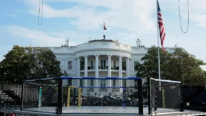 UFC at White House spotlights Trump's partnership with White – THIRTEEN – New York Public Media