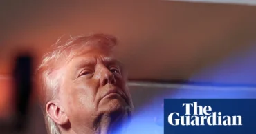 Trump as Don Corleone: ‘Every time he does somebody a favour … he expects a quid pro quo’ – The Guardian