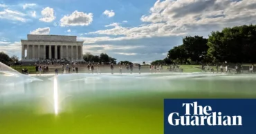Algae thwarts Trump’s $14.2m attempt to turn reflecting pool ‘American flag blue’ – The Guardian
