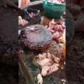 Chicken Chopping for Beginners: A Step-by-Step Guide