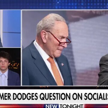 Democrats distance themselves, dodge association with DSA | Fox News Video
