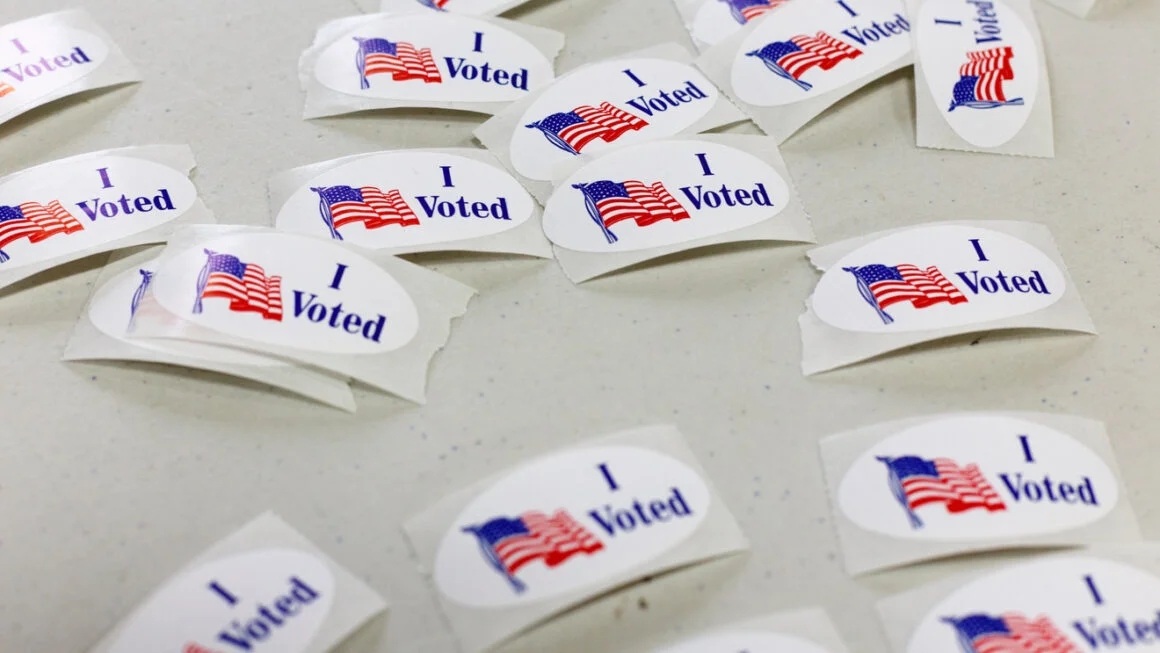 Michigan senate primary becomes test of Democratic Party’s future, strategist says