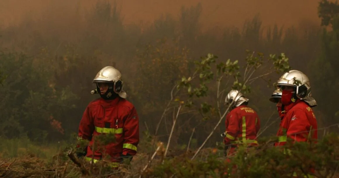 Waldbrände teilweise außer Kontrolle: Feuer erreicht Metropole Bordeaux, Notstand in Spanien