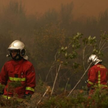 Waldbrände teilweise außer Kontrolle: Feuer erreicht Metropole Bordeaux, Notstand in Spanien