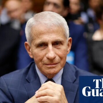 Anthony Fauci to face grilling from Senate Republicans on Covid pandemic | US Senate