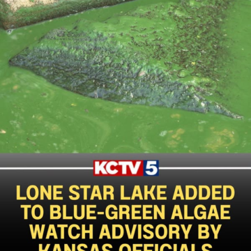 The Kansas Department of Health and Environment is warning people to avoid swimming in …