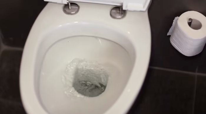 NHQ5BS5R7FAG3ME6QKBOT3XSZY.png What to know about cyclosporiasis as Michigan health officials investigate 300+ cases in outbreak