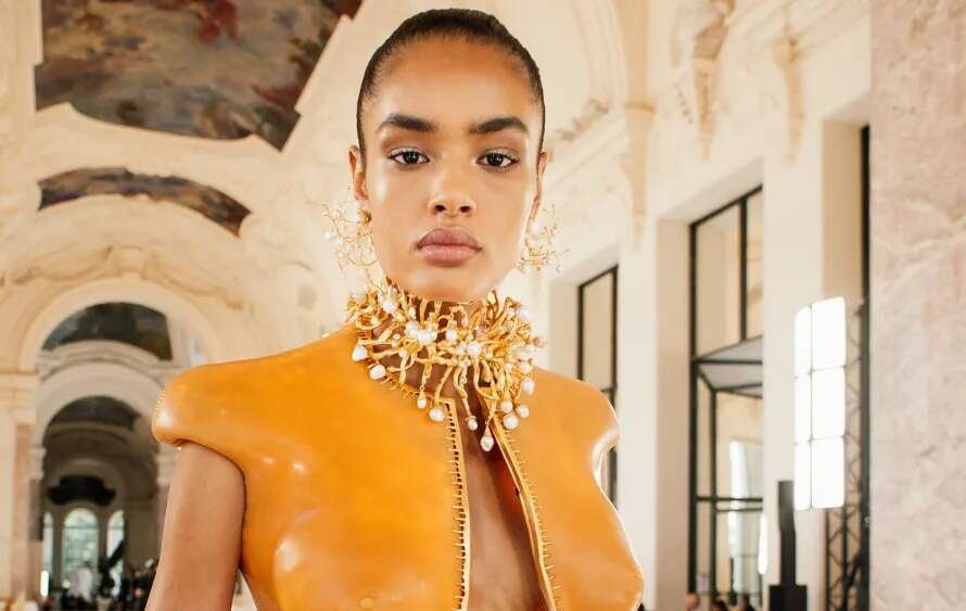 Schiaparelli KD.jpg