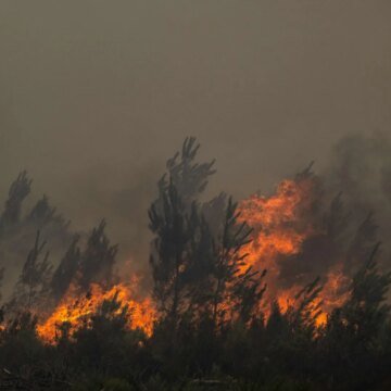 French wildfires trigger mass evacuations around Bordeaux | Environment