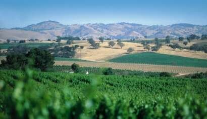Landscapes bill introduced img.jpg