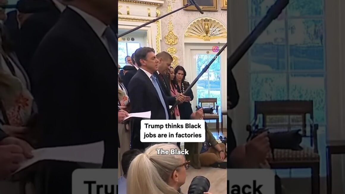 Wait… Factory Jobs Are “Black Jobs” Now? 👀 #Trump #Politics #News