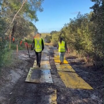 762310590_2060883004508805_3746476463879756498_n.jpg 🌱 Protecting the environment during the Merimbula Boardwalk upgrade The Merimbula Boardwalk upgrade is about more than delivering a new boardwalk. It’s also about protecting and enhancing the unique natural environment that makes this area so special. Watch as Project Manager, Jessica Crawford and Coastal Management Officer, Rachel Duczynski explain the environmental measures being implemented during construction and how the project will help restore important coastal habitat around Merimbula Lake. For more information about the project, visit: https://www.begavalley.nsw.gov.au/About-Council/Council-Projects/Merimbula-Boardwalk-and-Foreshore-Path-upgrade