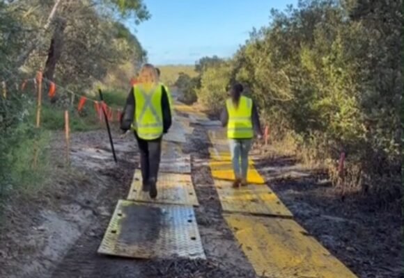 🌱 Protecting the environment during the Merimbula Boardwalk upgrade The Merimbula Boardwalk upgrade is about more than delivering a new boardwalk. It’s also about protecting and enhancing the unique natural environment that makes this area so special. Watch as Project Manager, Jessica Crawford and Coastal Management Officer, Rachel Duczynski explain the environmental measures being implemented during construction and how the project will help restore important coastal habitat around Merimbula Lake. For more information about the project, visit: https://www.begavalley.nsw.gov.au/About-Council/Council-Projects/Merimbula-Boardwalk-and-Foreshore-Path-upgrade