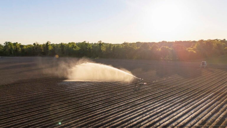 California cancels paraquat pesticides amid health concerns https://internetconnectz.com/west-bloomfield-twp-man-dies-while-diving-in-florida-keys/