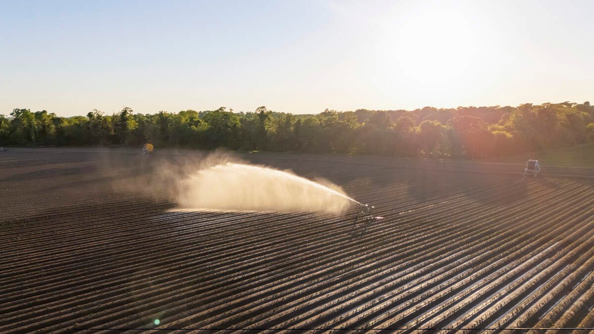California cancels paraquat pesticides amid health concerns