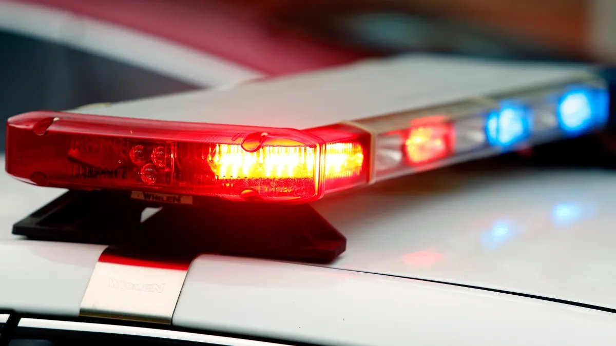 Marc S. Horowitz of Orange Brook Elementary arrested – NBC 6 South Florida