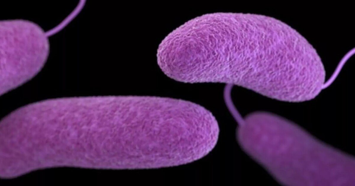 Second Florida death related to Vibrios bacteria reported in Marion County