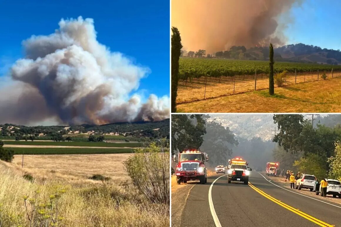newspress-collage-tlnj38wte-1785638435589.jpg Feliz Fire explodes in Mendocino County as urgent evacuation orders issued