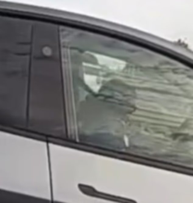 Brazen Tesla driver seen in harrowing video catching up on SLEEP while speeding down California highway