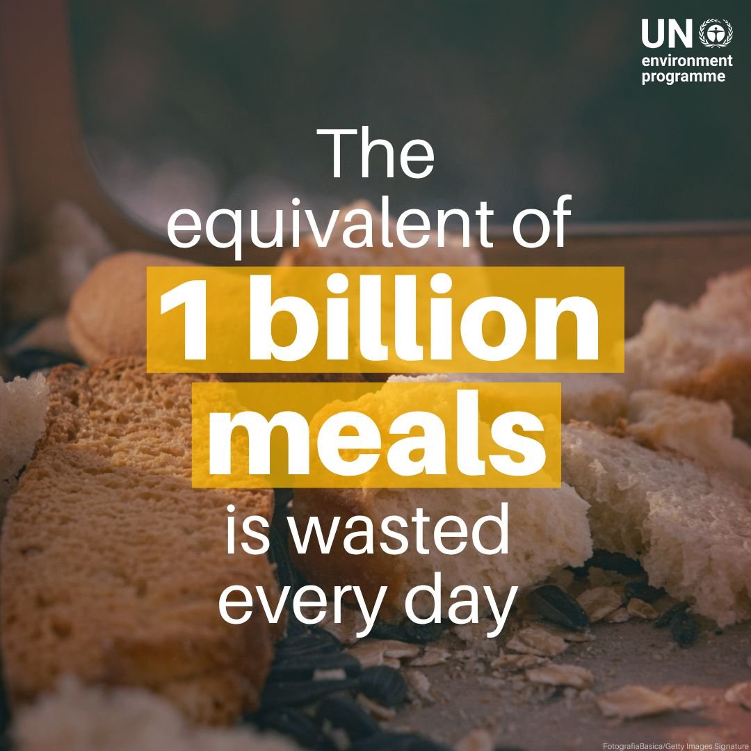 UN Environment Programme - stopfoodlosswaste #flwday - LinkedIn