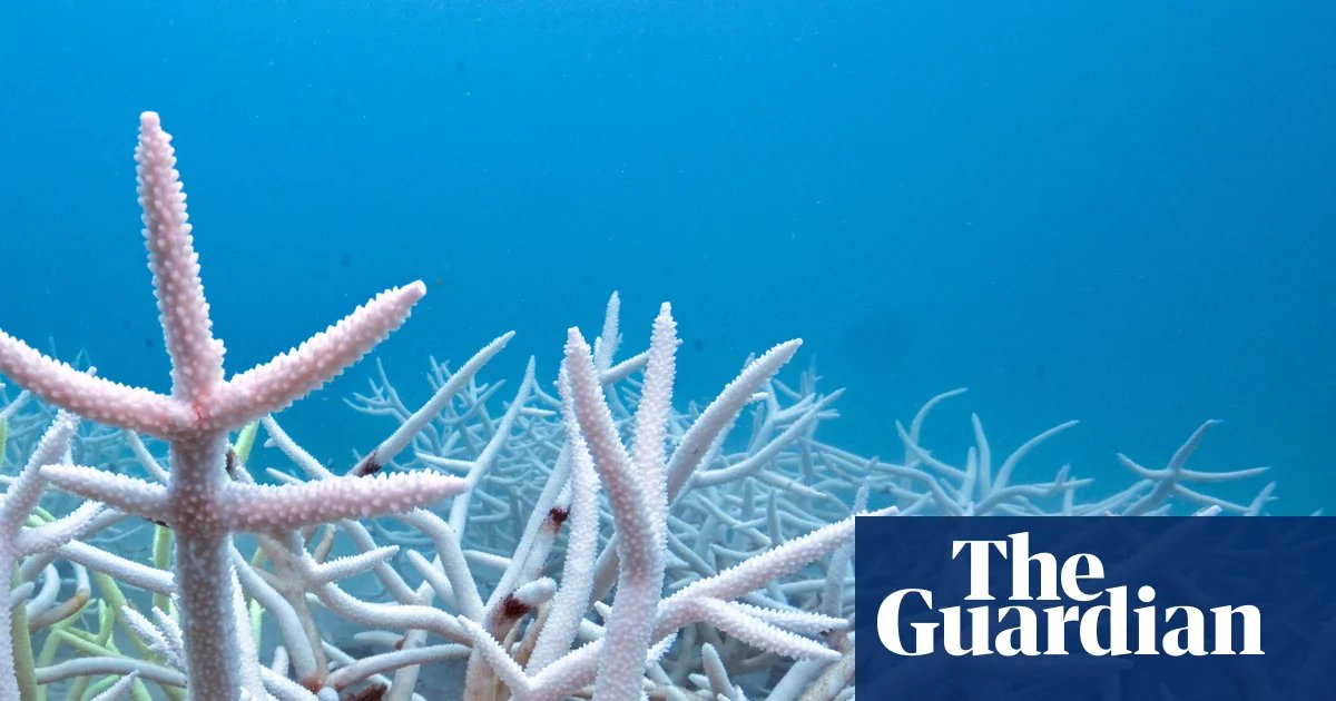 World’s oceans absorbed record heat equal to 40 times annual global energy use | Environment