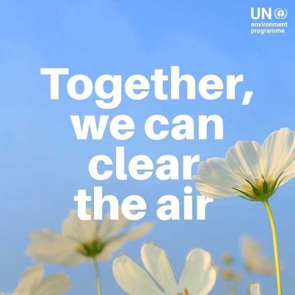 United Nations - A safe, healthy environment is a human...