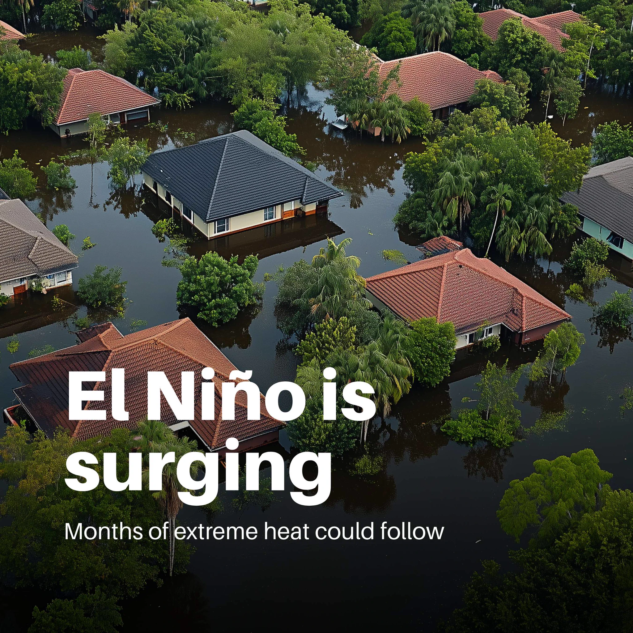 UN Environment Programme on X: "El Niño is strengthening rapidly, and it has yet to peak ...