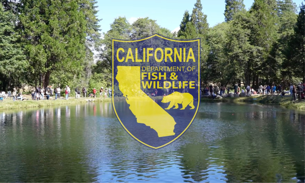 California’s Free Fishing Day Returns Saturday, Sept. 5, No License Required