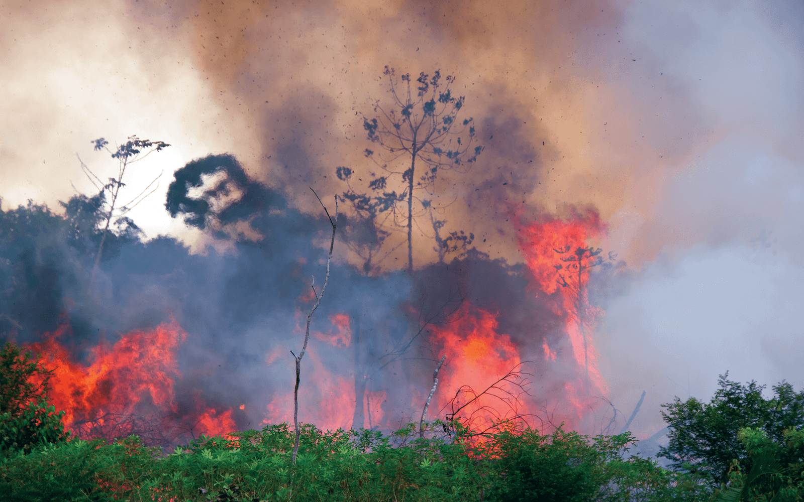 environmental – Fountain Magazine