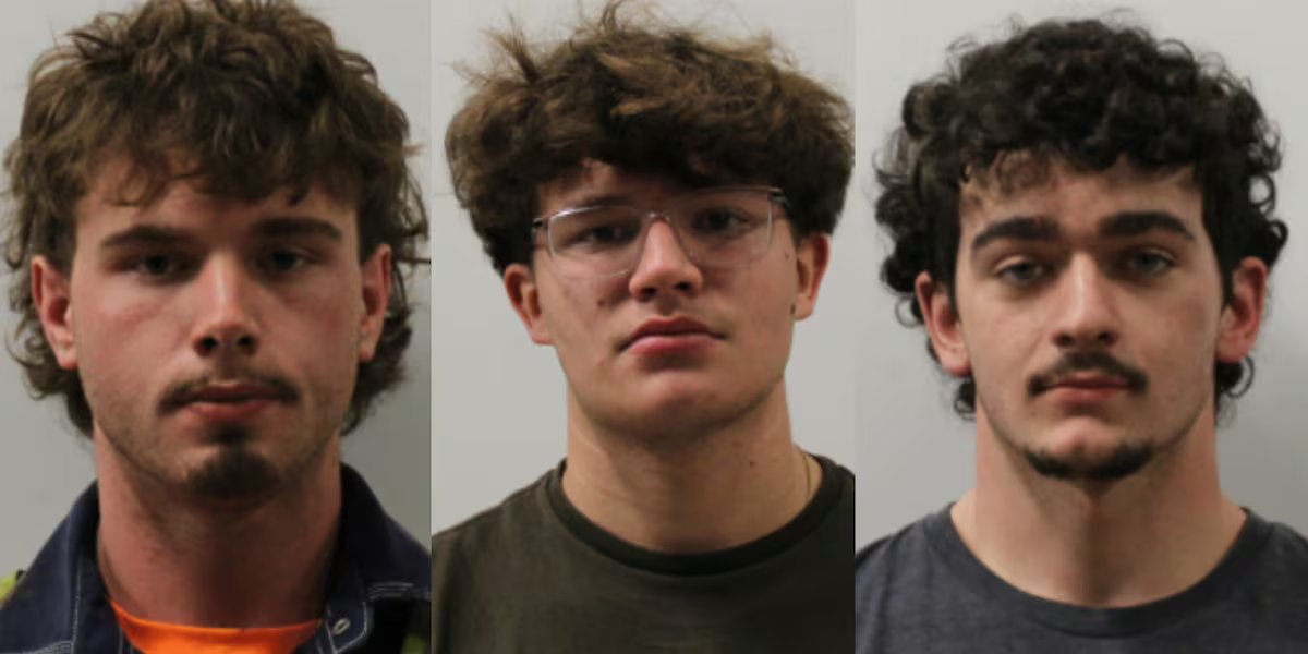 Four charged after pineapple damages Tesla in West Chester Township, Ohio