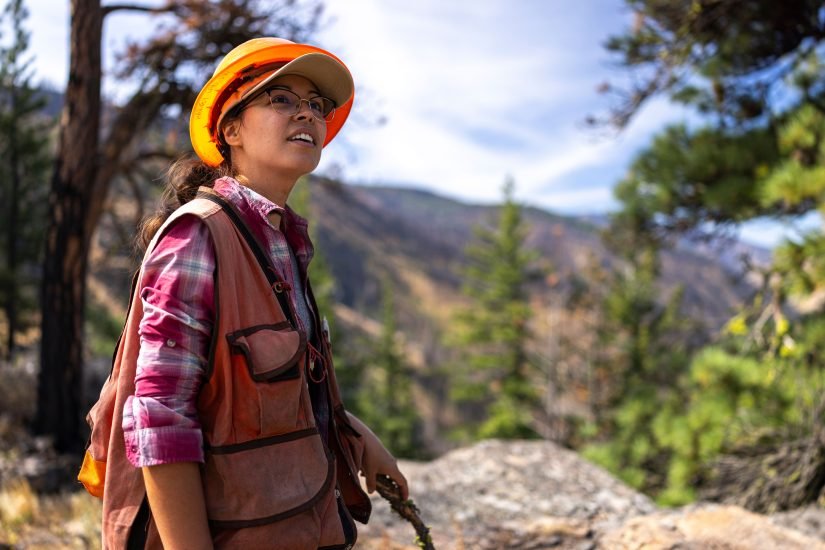 UW wildfire research helps guide forest management | UW College of the Environment