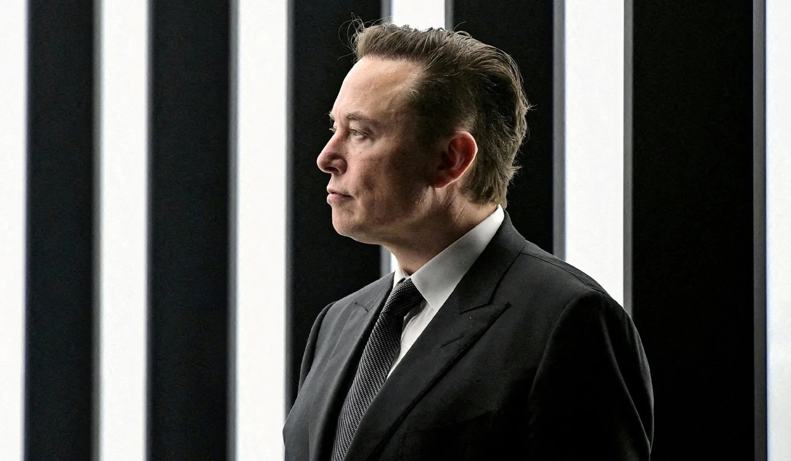Elon musk.jpg