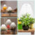 LED Grow Light with Stand for Indoor Plants Full Spectrum Plant Grow Lamp 4-Head