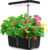 8 Pods Hydroponic Growing System Indoor Herb Garden Kit Perfect Christmas gift