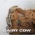 100+ Dairy Cow Isopods For Sale • Bulk Isopods For Bioactive | FEEDERS
