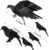 5Pack Halloween Crow Decorations Handmade Realistic Black Feathered Lifesize Fly