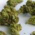 Top Delivery Services Trending in 2025 for Medical Marijuana