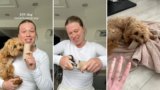 Pet owner shares brilliant hack using old toilet paper rolls: ‘She absolutely loves it’