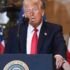 The Downfall of the Democratic Party: A Critical Review